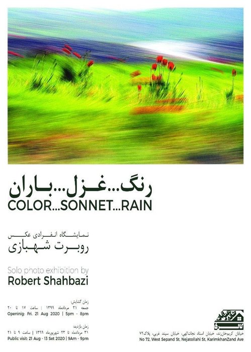 Color...Sonnet...Rain