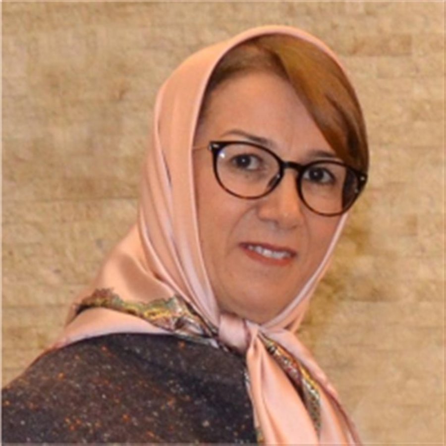 Fatemeh Hasani