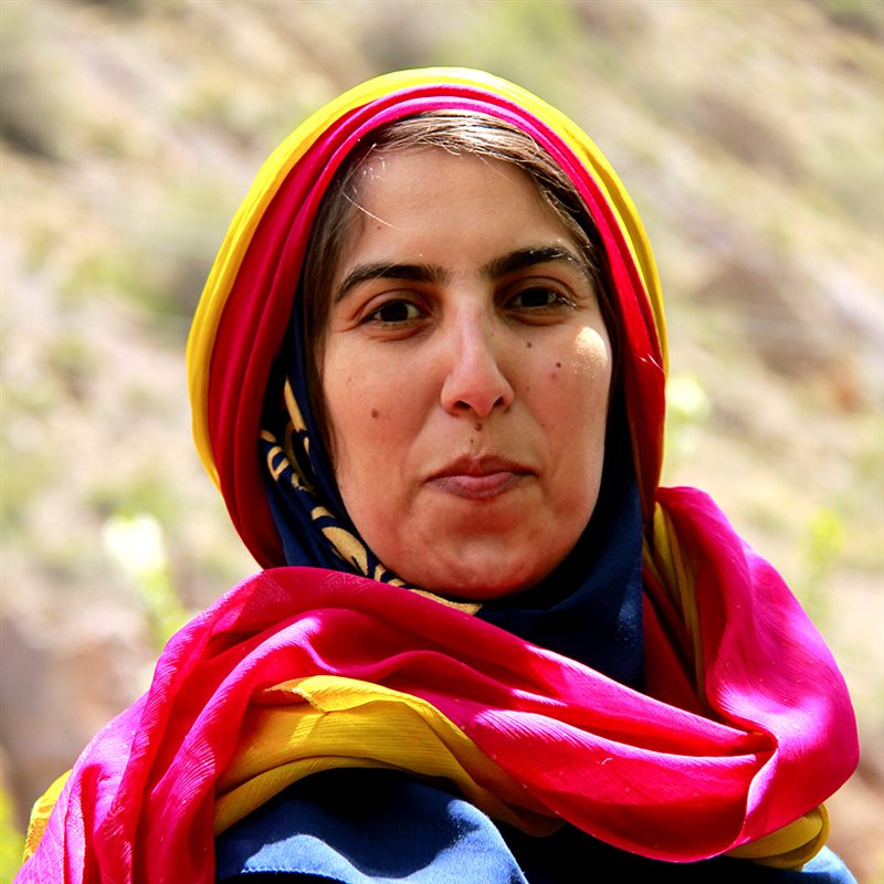 Tayyebeh Ezzatollahinejad