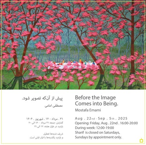 Before the Image Comes into Being.