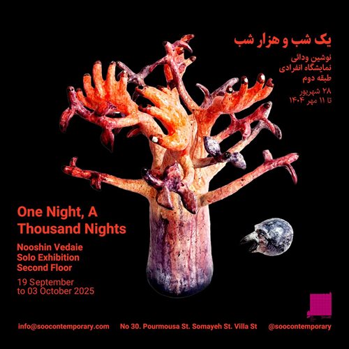 One Night, A Thousand Nights