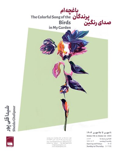 The Colorful Song of The Birds in my Garden