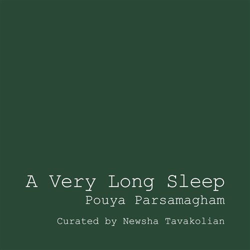 A Very Long Sleep 