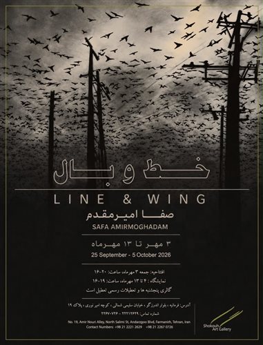 Line & Wing