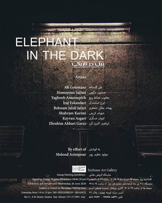 Elephant in the dark 