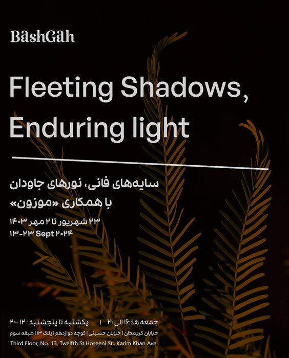 Fleeting Shadows, Enduring Light