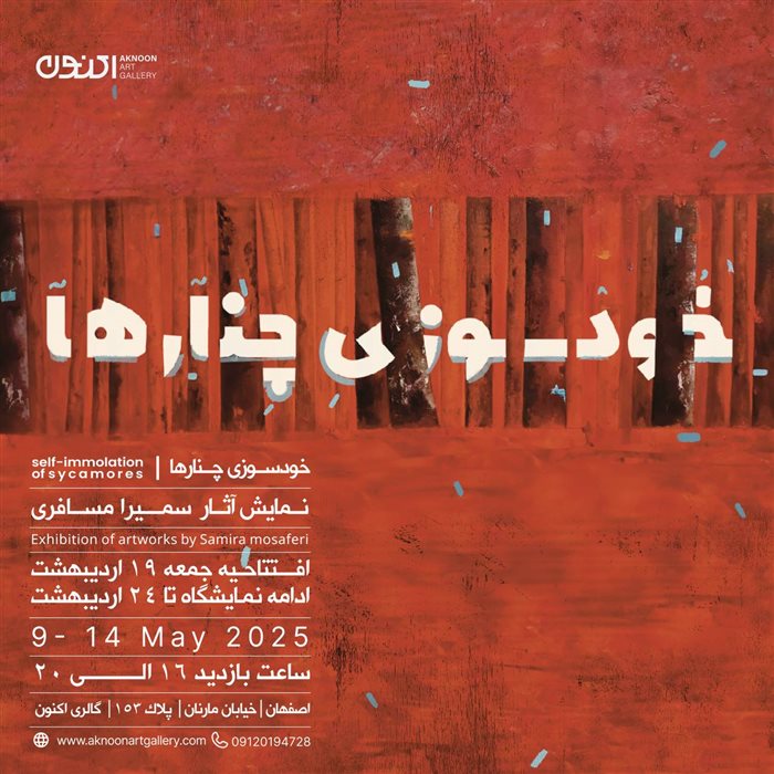 خودسوزی چنارها