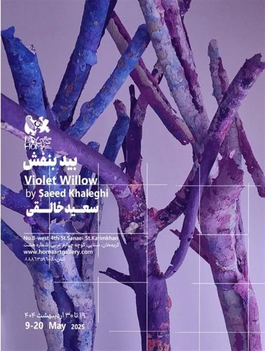 Violet Willow