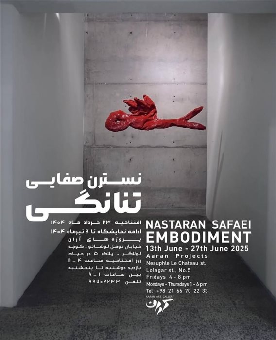 Embodiment