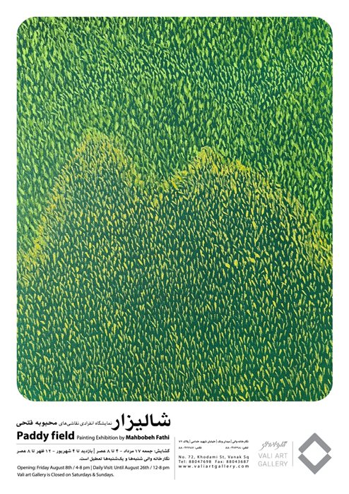 Paddy field