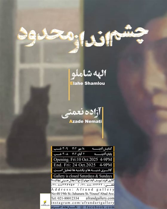 چشم انداز محدود