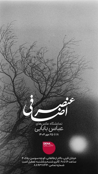 عنصر اضافی