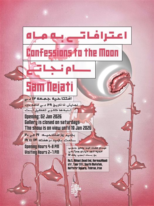Confessions to the Moon