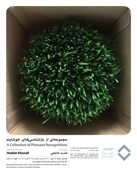 مجموعه‌ای از بازشناسی‌های خویشاوند