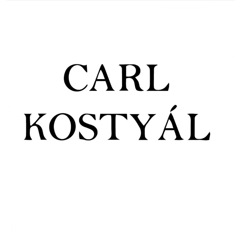 Carl Kostyál Gallery