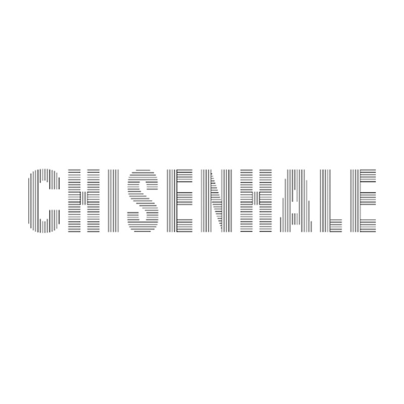 chisenhale Gallery