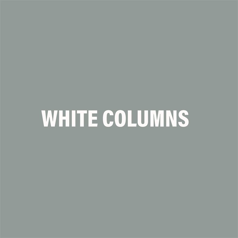 White Columns Gallery