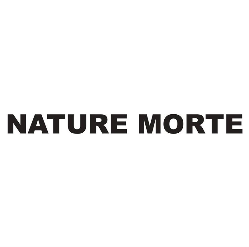 Nature Morte Gallery