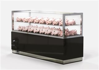 THE BIRD JUMPED OF THE CAGE”