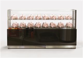 THE BIRD JUMPED OF THE CAGE”