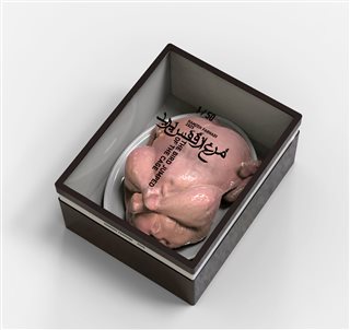 THE BIRD JUMPED OF THE CAGE”