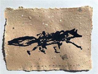 Untitled from Foxes & Wolfs Series