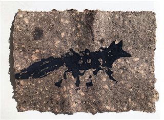 Untitled from Foxes & Wolfs Series