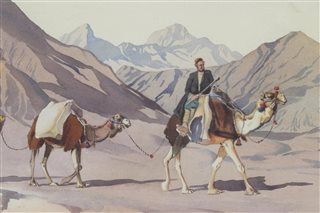 Camel train in desert landscape