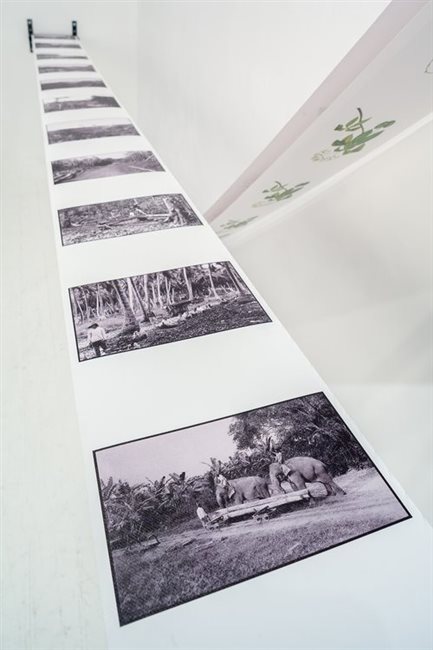 هینترلند | Erased Images of a Work About Historical Erasure | نمایشگاه گروهی