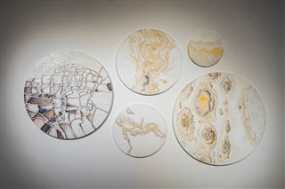 Ech | Beyond a canvas:Eyes on the work of naturesolo exhibition