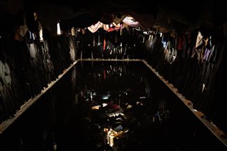 ریشه۲۹ | فُک آرت (بخش چهارم) | نمایشگاه انفرادی