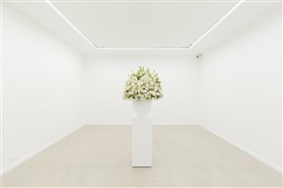 دلگشا | دسته گل شماره ۹ | نمایشگاه انفرادی