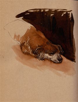 (A portrait (Brownie the sad dog