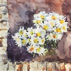 ساغر انواری