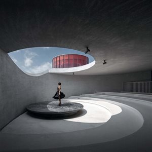 افتتاح موزه هنر مونولوگ در چین
