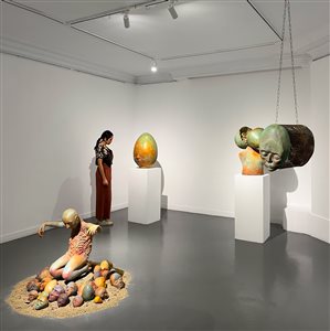 گزارش تصویری «رویت»