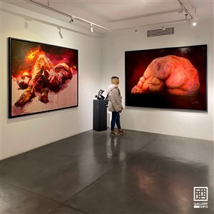  گزیده‌ای از افتتاحیه‌های هفته‌ی اول دی 1404 