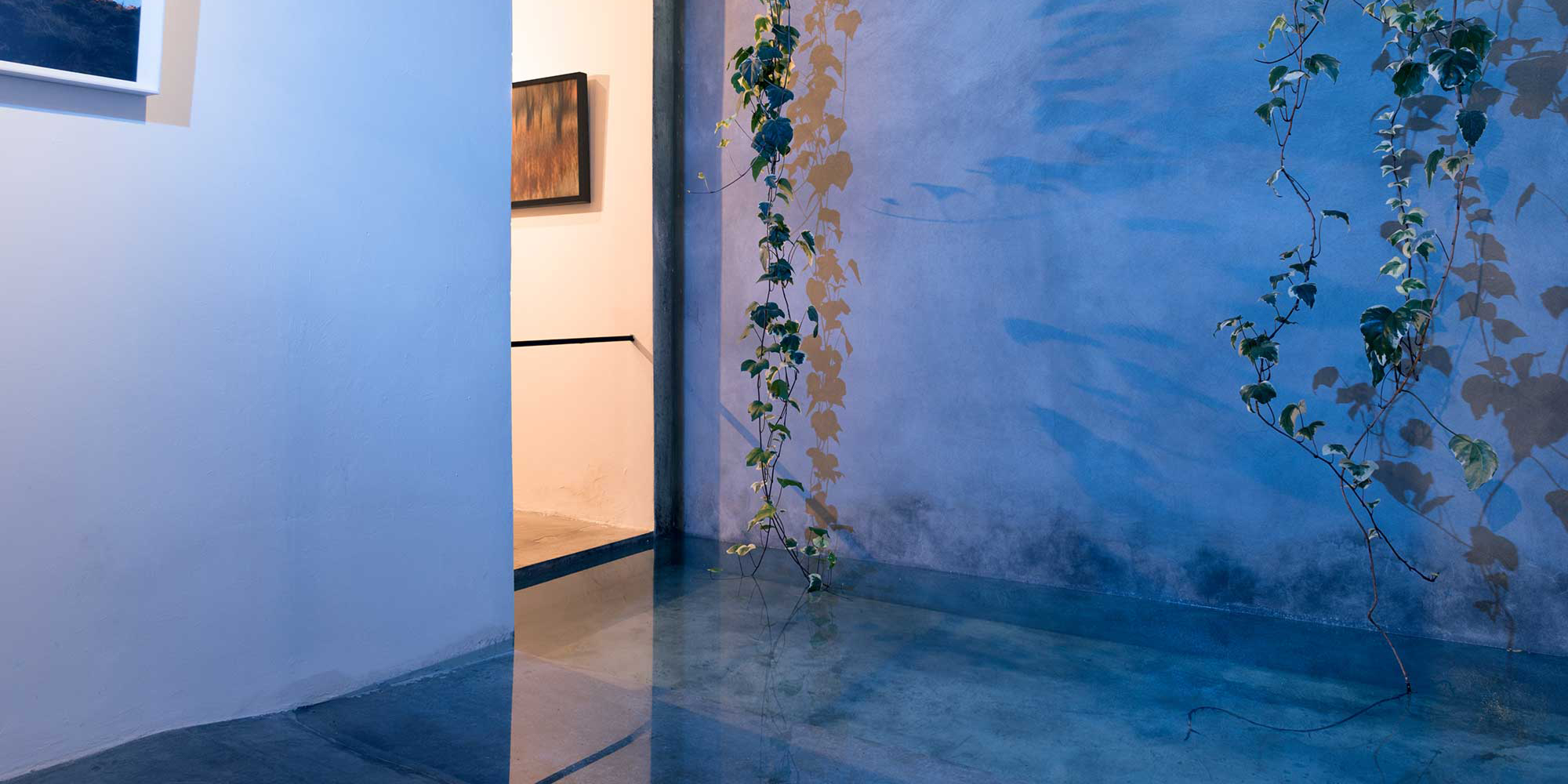 گالری سایه Gallery Saye
